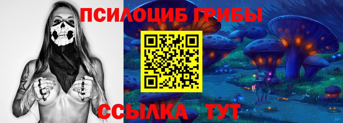 Елец  где найти наркотики  Вход с VPN  Галлюциногенные грибы Magic Shrooms  Галлюциногенные грибы ЛСД 